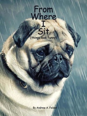 cover image of From Where I Sit (things look funny)